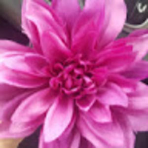 Meet your Posher, Sera